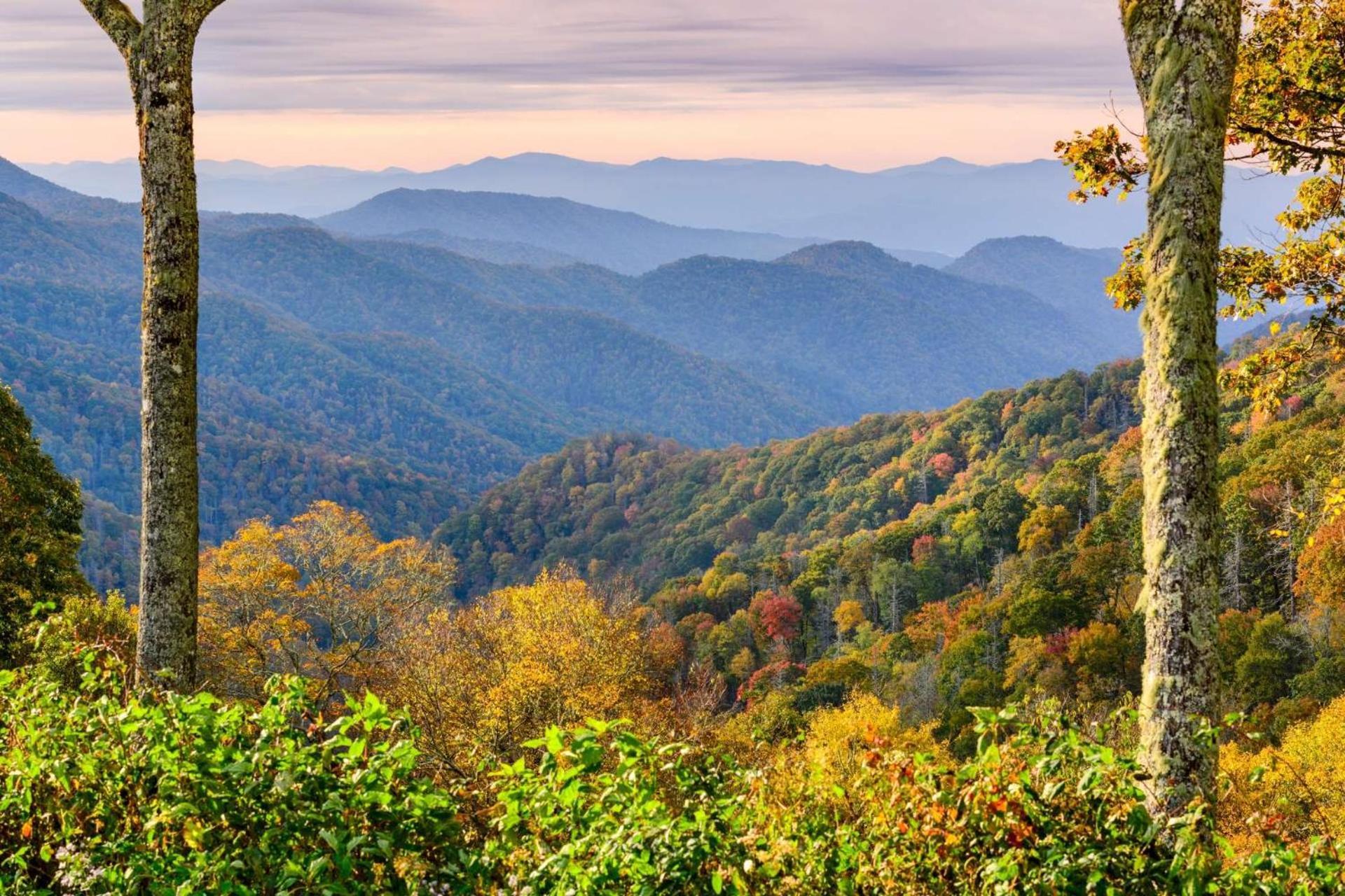 Mill Stream Cottage Pigeon Forge Dış mekan fotoğraf